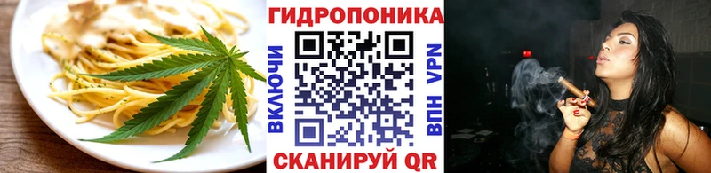 где найти   Кологрив  Canna-Cookies конопля 