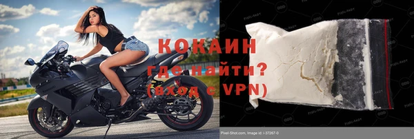 стафф Бородино
