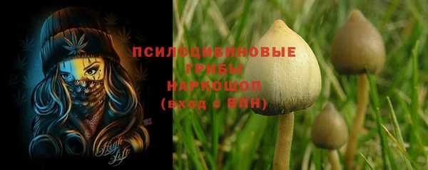 герыч Бронницы