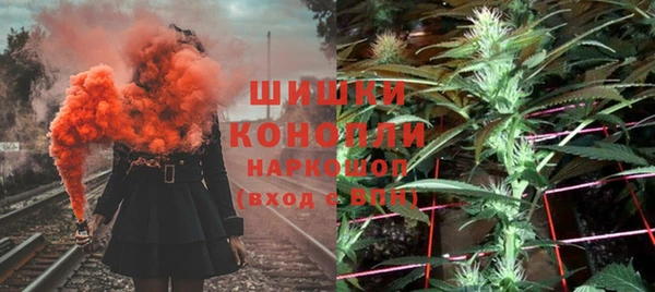 стафф Бородино