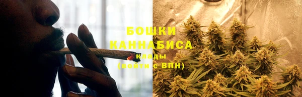 стафф Бородино