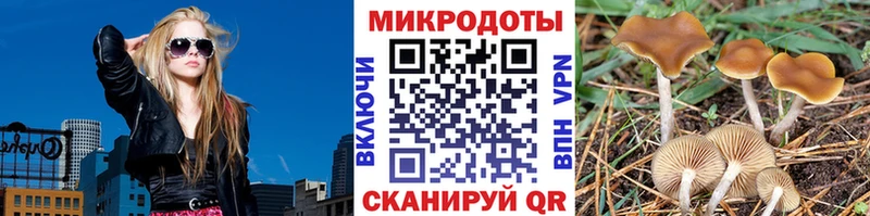 Галлюциногенные грибы мухоморы  KRAKEN   Кологрив 