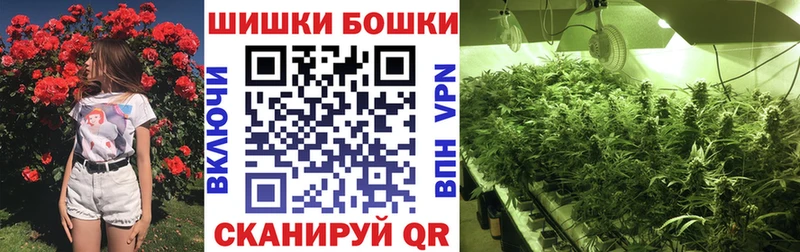 наркота Кологрив Бошки марихуана марихуана